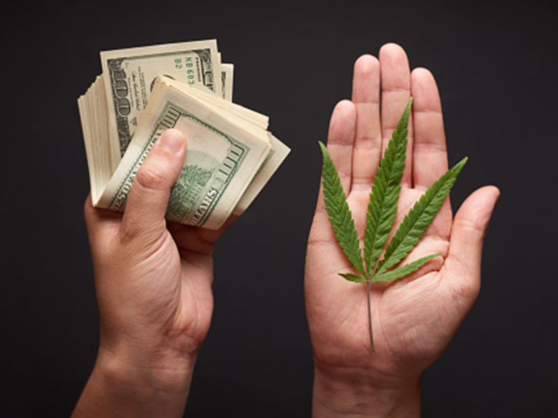California approves stimulus money for the marijuana industry